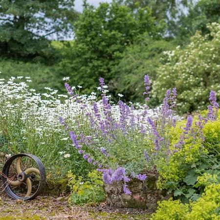 1 Bed In Brampton 73577 * Upper Denton