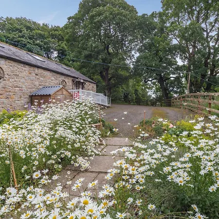 1 Bed In Brampton 73577 * Upper Denton
